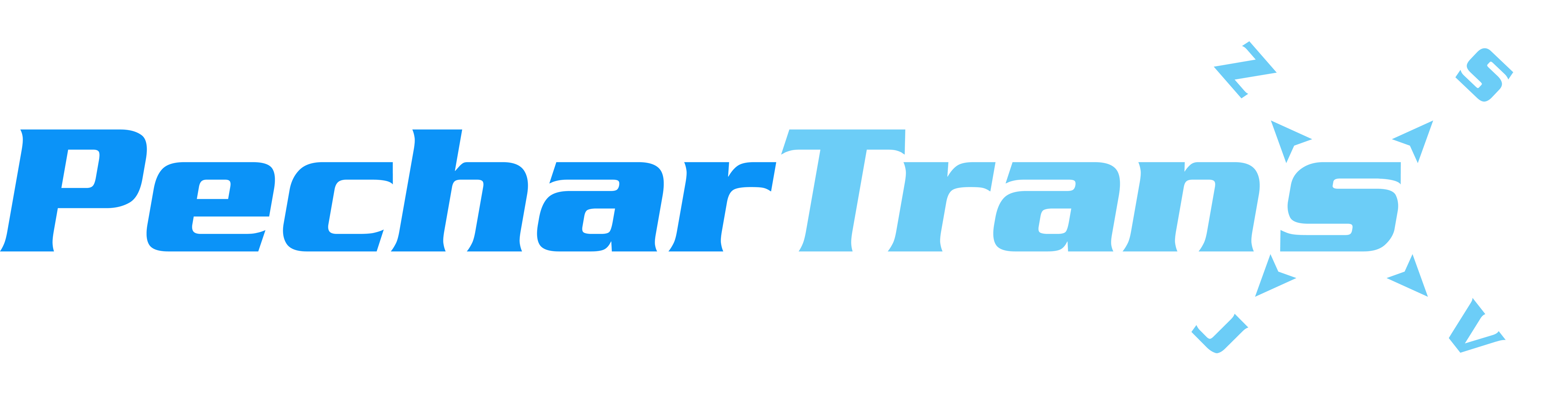 PecharTrans logo